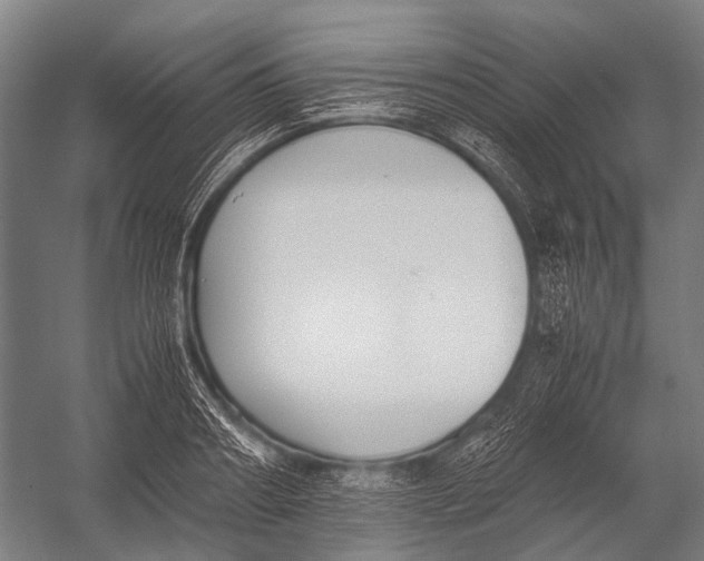 X0000052920890200507292323