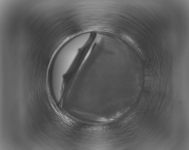 X0000052920892200507292323