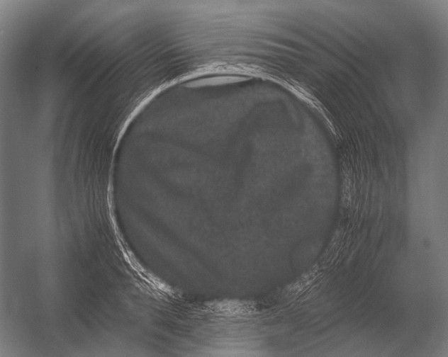 X0000052920896200507292323