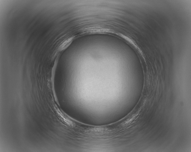 X0000052920897200507292323