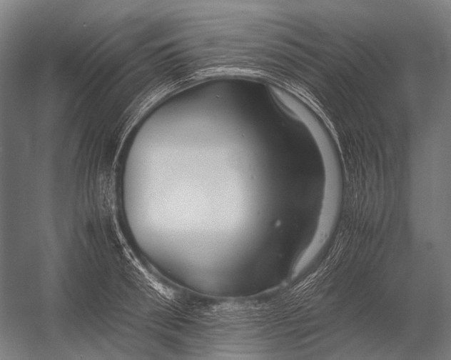 X0000052920898200507292323