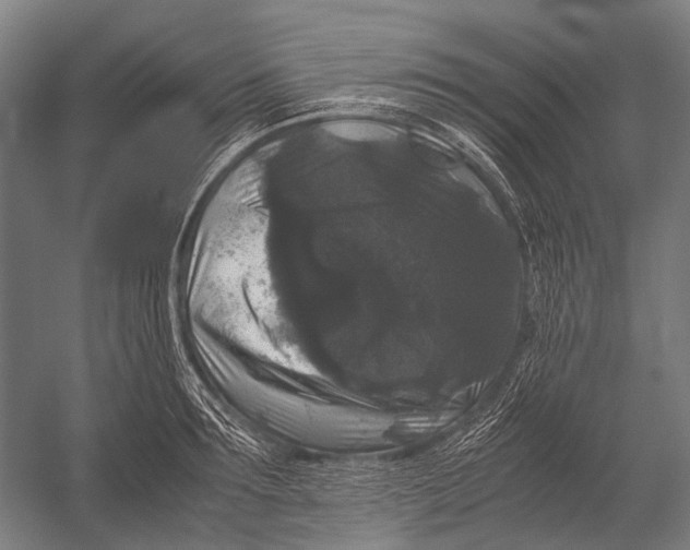 X0000052920899200507292323