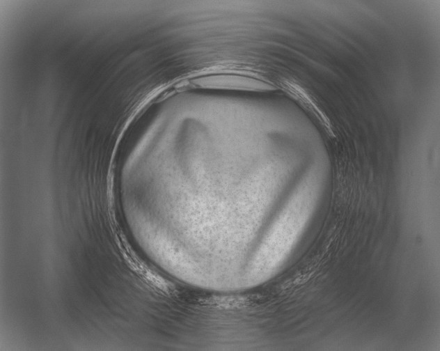 X0000052920900200507292323
