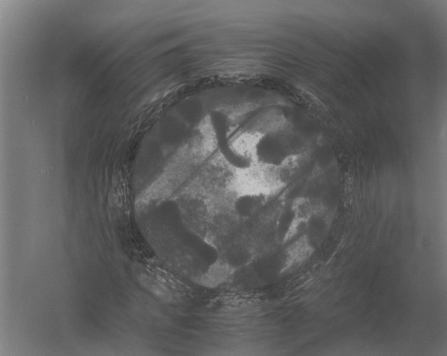 X0000052920917200507292322