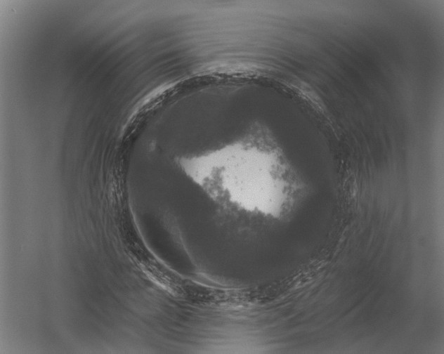 X0000052920920200507292322