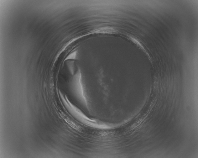 X0000052920923200507292322