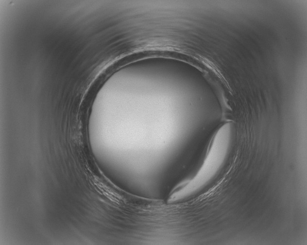 X0000052920926200507292322