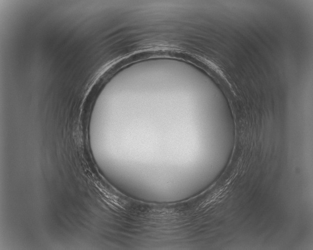 X0000052920927200507292322