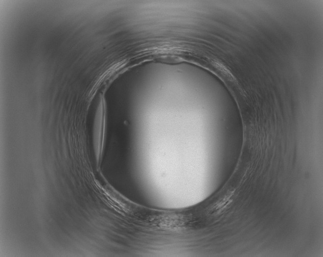 X0000052920930200507292322