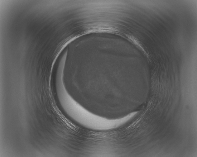 X0000052920932200507292322