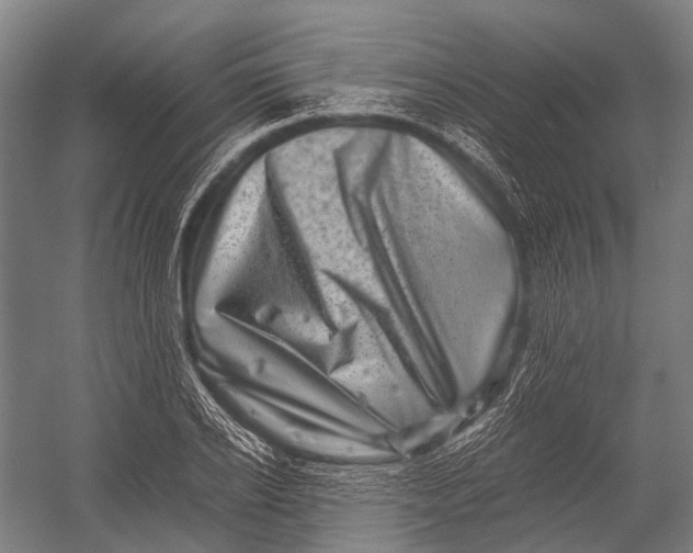 X0000052920934200507292322