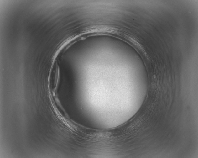 X0000052920936200507292322