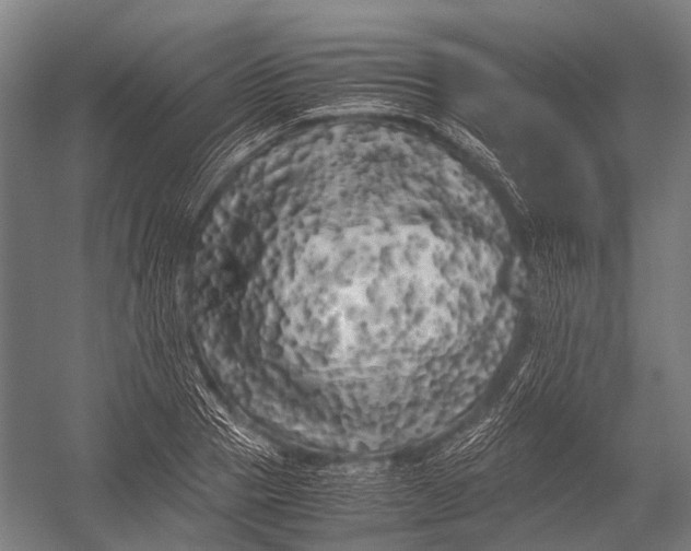 X0000052920937200507292322