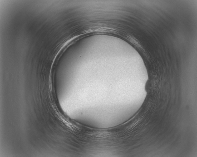 X0000052920940200507292322