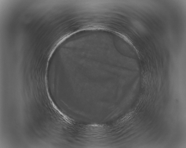 X0000052920943200507292322
