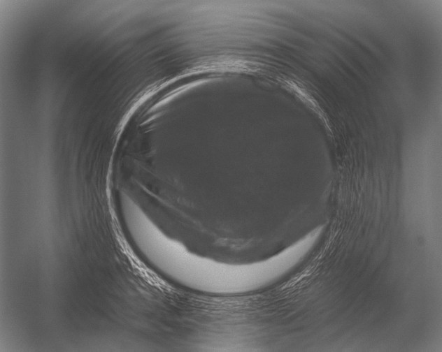 X0000052920944200507292322