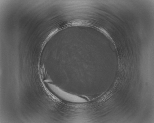 X0000052920946200507292322