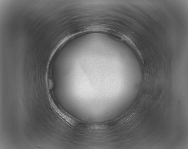 X0000052920947200507292322