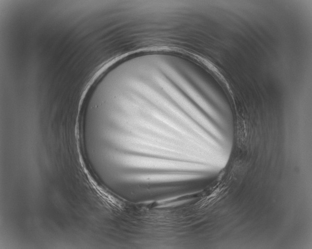 X0000052920951200507292322