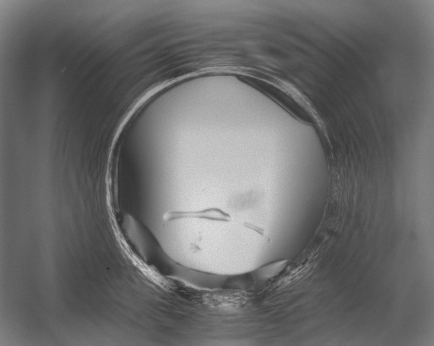 X0000052920955200507292322