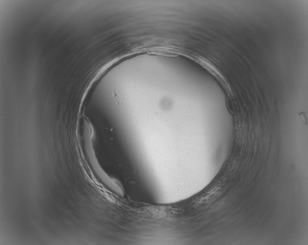X0000052920956200507292322