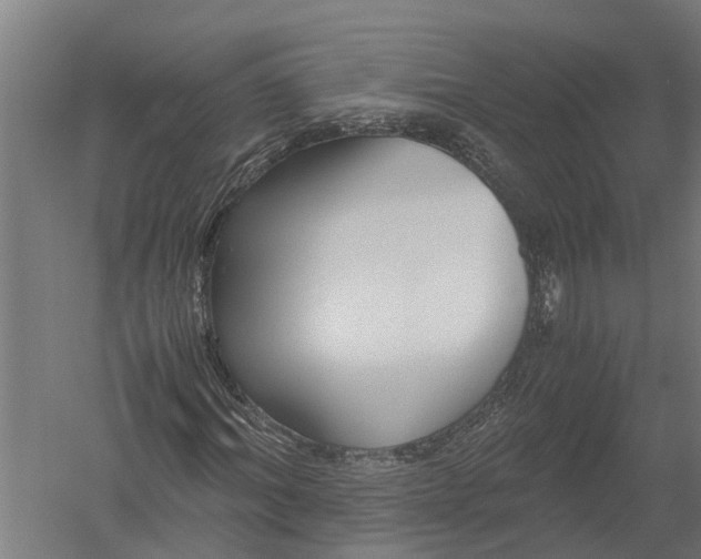 X0000052920964200507292322