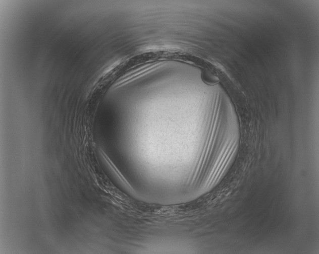 X0000052920967200507292322