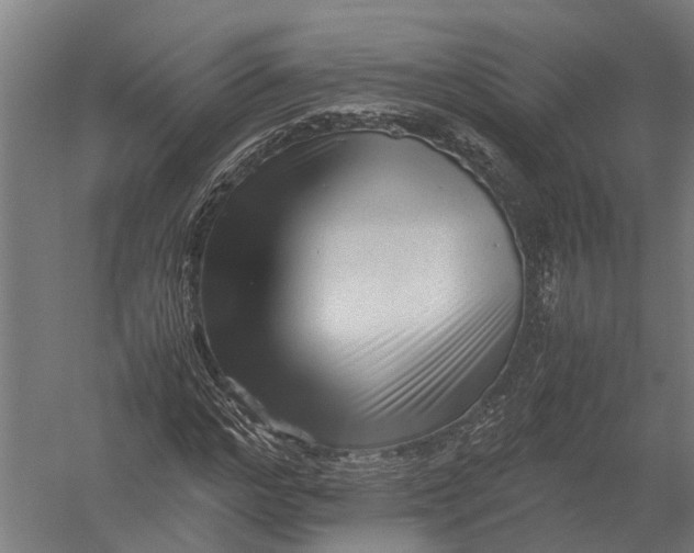 X0000052920968200507292322