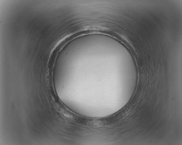 X0000052920971200507292322