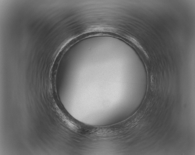 X0000052920972200507292322