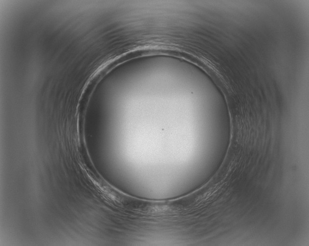 X0000052920982200507292321