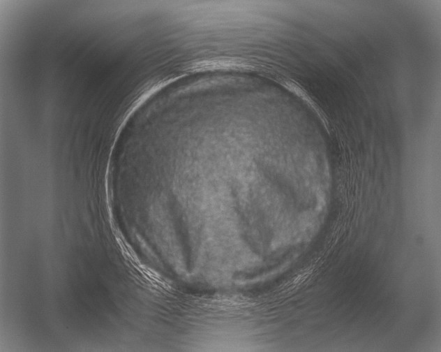 X0000052920983200507292321