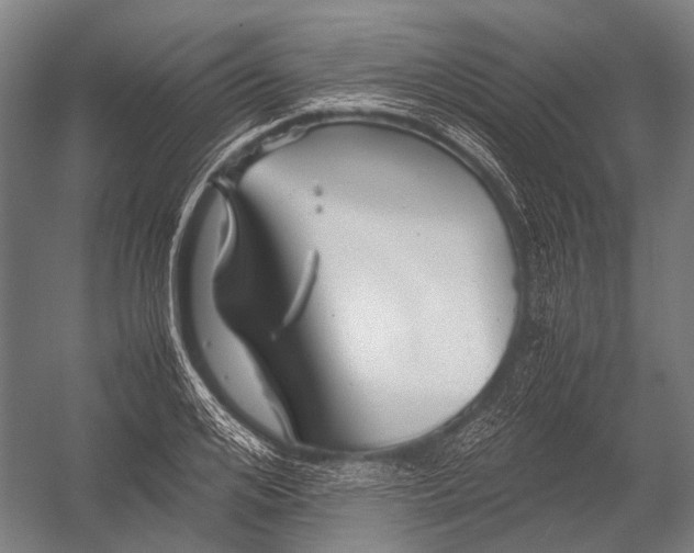 X0000052920984200507292321