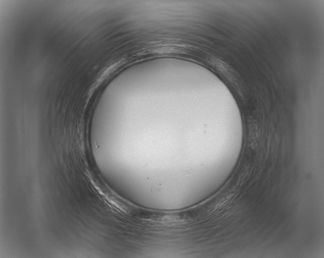 X0000052920986200507292321