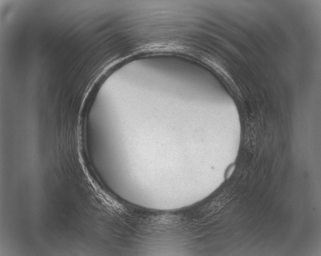 X0000052920992200507292321