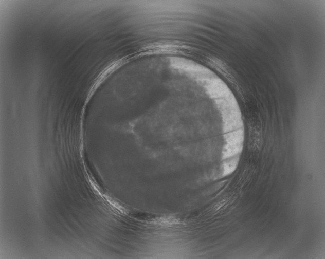X0000052920994200507292321