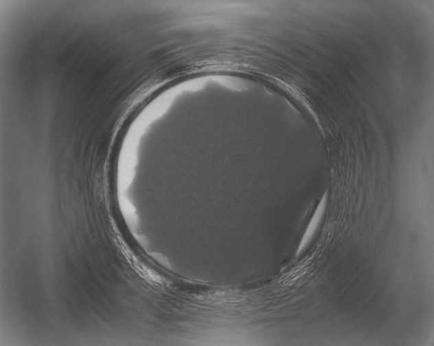 X0000052920995200507292321