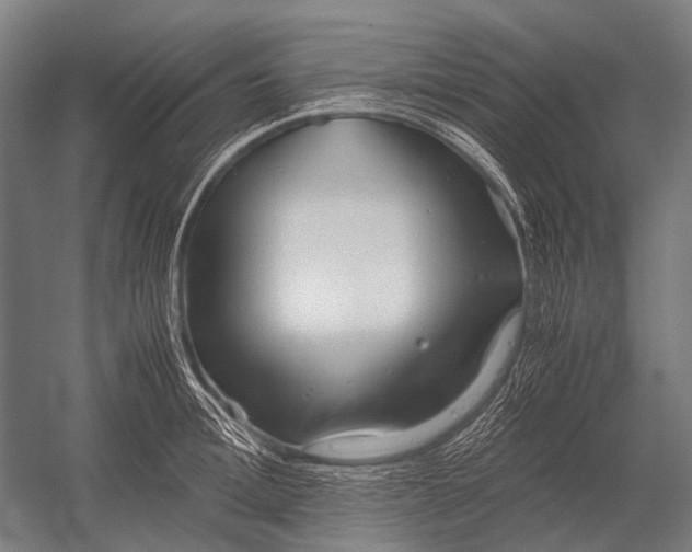 X0000052920996200507292321