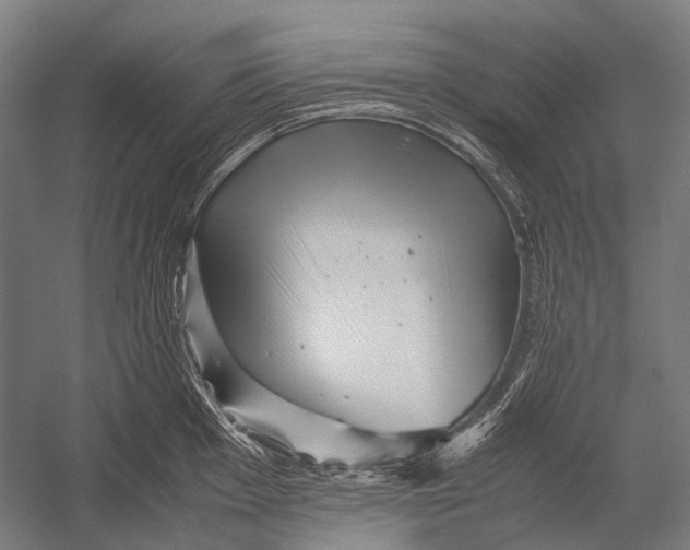 X0000052921001200507292321