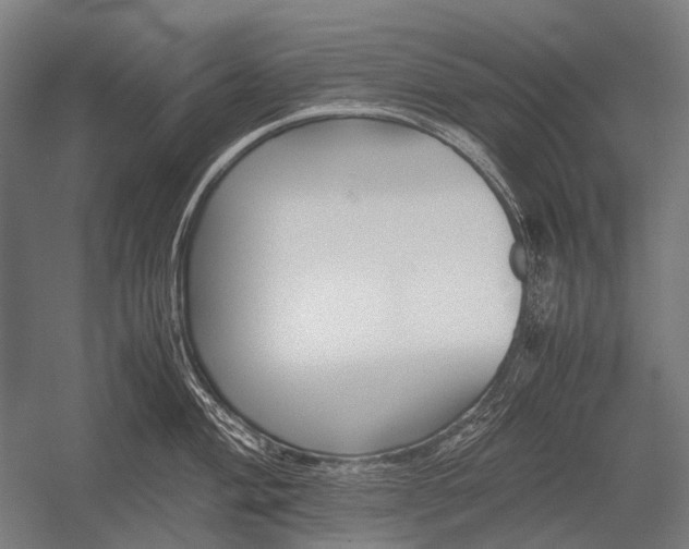 X0000052921004200507292321