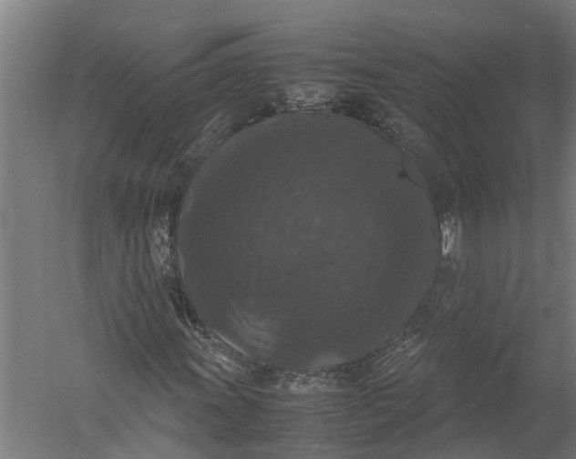 X0000052921011200507292320