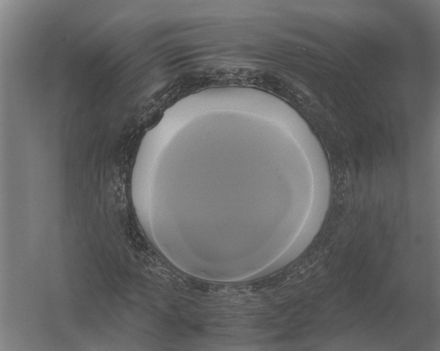 X0000052921013200507292320
