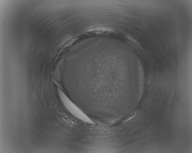 X0000052921014200507292320
