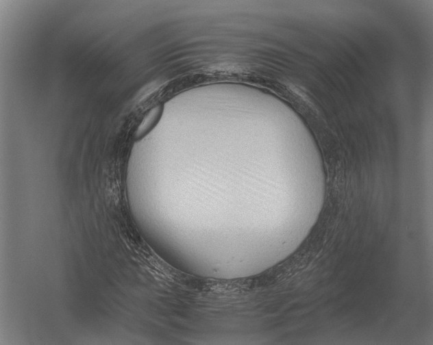 X0000052921015200507292320