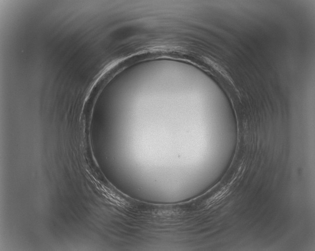 X0000052921021200507292320