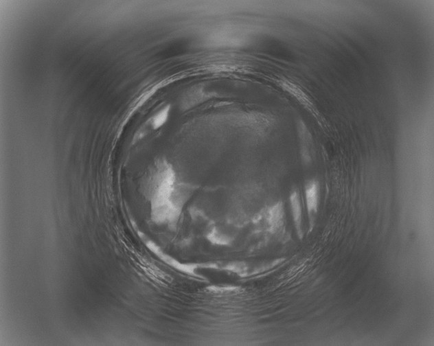 X0000052921023200507292320