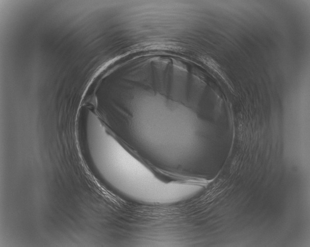X0000052921024200507292320