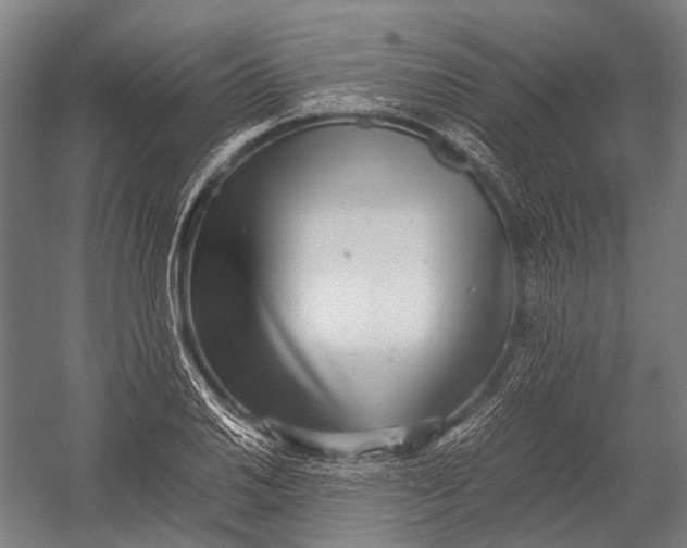 X0000052921030200507292320