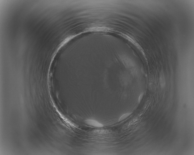 X0000052921037200507292321