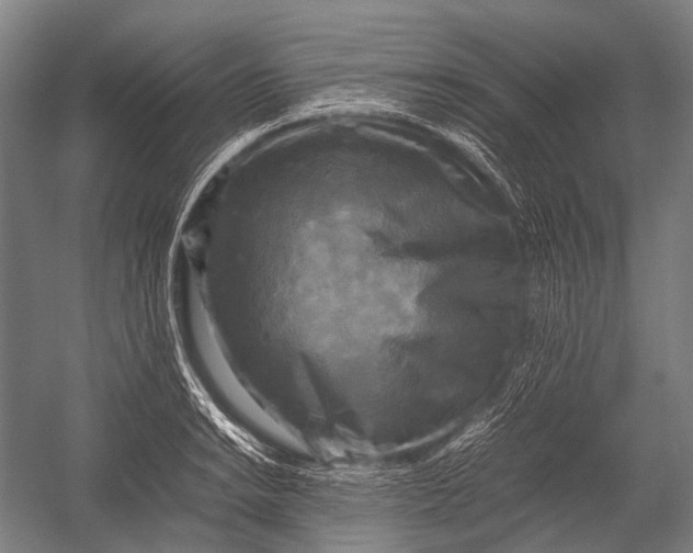 X0000052921038200507292321
